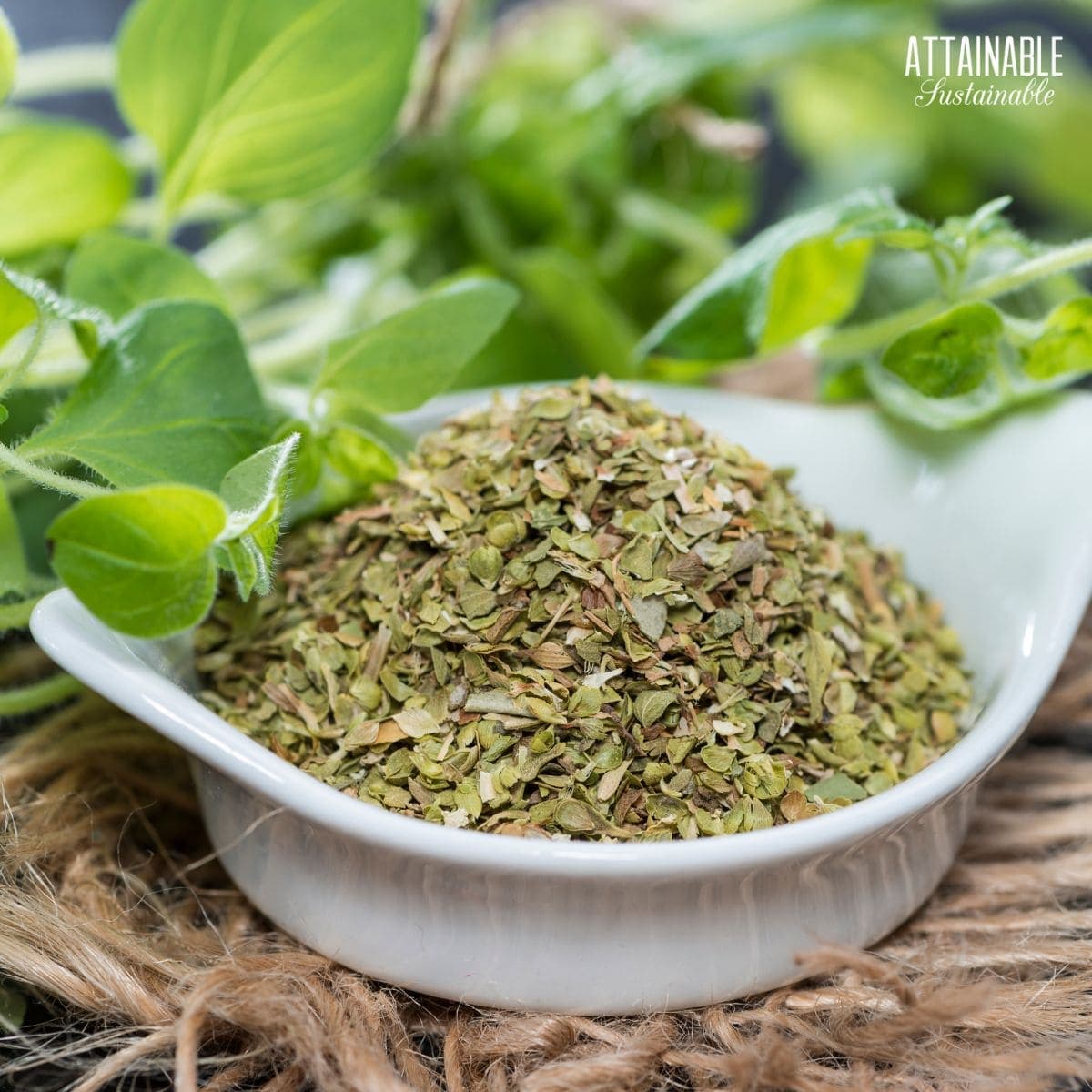 Dried Oregano